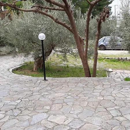 Апартаменты σπίτι σε ελαιώνα, House In An Olive Grove Aria