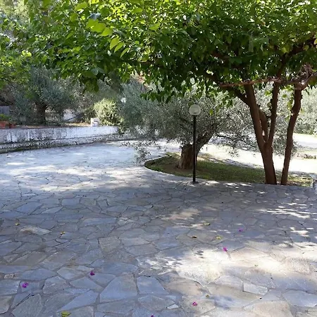σπίτι σε ελαιώνα, House In An Olive Grove Apartament