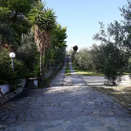 Apartament σπίτι σε ελαιώνα, House In An Olive Grove Ária