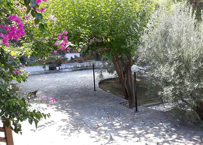 σπίτι σε ελαιώνα, House In An Olive Grove Apartament *