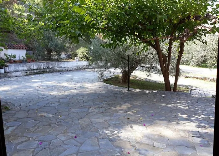 σπίτι σε ελαιώνα, House In An Olive Grove Lägenhet