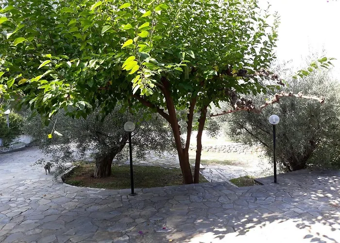 σπίτι σε ελαιώνα, House In An Olive Grove Lägenhet Ária