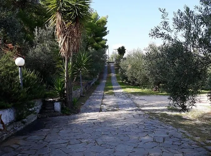Apartament σπίτι σε ελαιώνα, House In An Olive Grove Ária